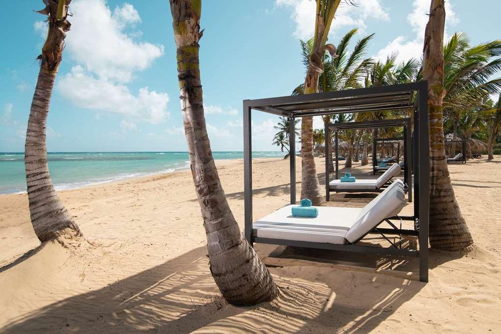 Live Aqua Beach Resort Punta Cana Natur bild